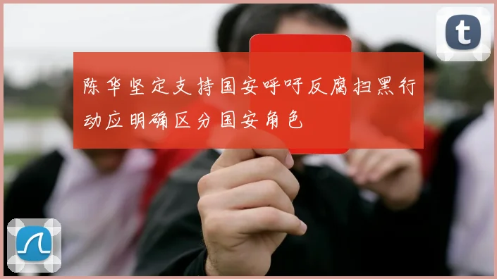 陈华坚定支持国安呼吁反腐扫黑行动应明确区分国安角色