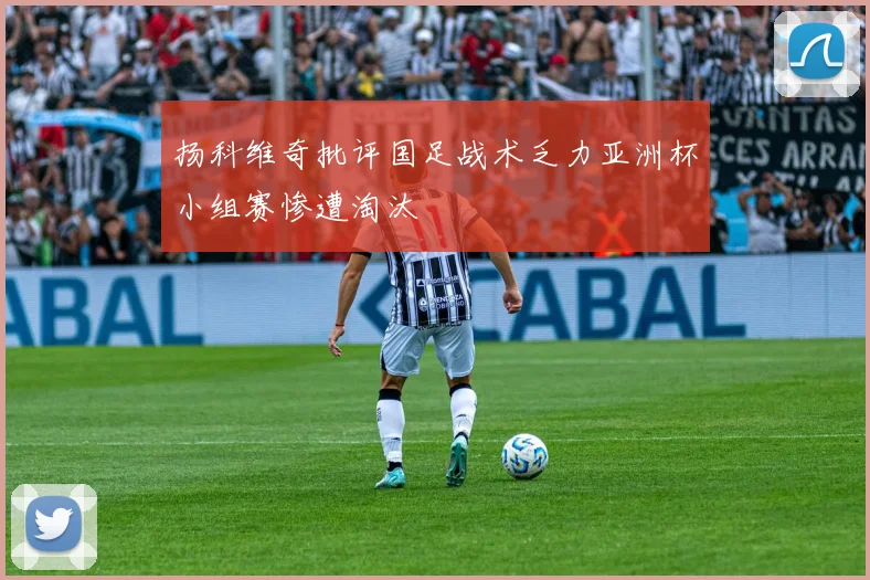 扬科维奇批评国足战术乏力亚洲杯小组赛惨遭淘汰