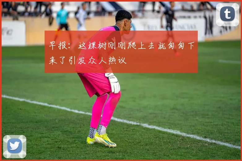 早报：这棵树刚刚爬上去就匆匆下来了引发众人热议