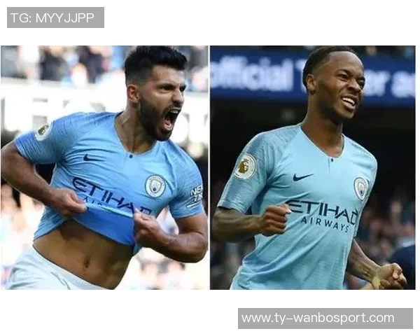 水晶宫选帅目标锁定佩雷斯贝拉米锋线引援瞄准斯特林