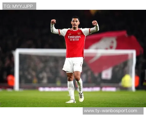 英超新援进球占比分析利兹联高达86阿森纳排名第四 英超新援进球占比分析利兹联高达86阿森纳排名第四